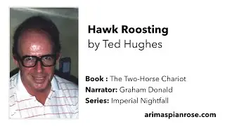 Hawk Roosting by Ted Hughes