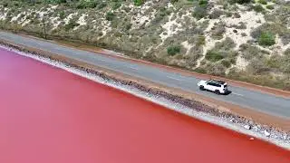 Adventures to Hutt Lagoon Pink Lake #pinklake #travelwa #familytravelvlog #travelwithkids