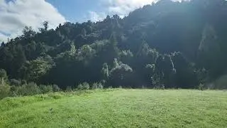 Rural Puhoi Paradise with Signature Homes