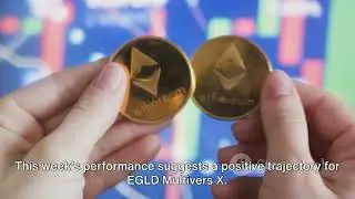 EGLD Multivers X: Weekly review 2023, 30th Oct - 5th Nov