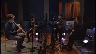 Ornamentation I by Michael Seltenreich // performed by New Thread Quartet