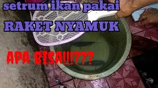 setrum ikan raket nyamuk apa bisa tes nyetrum nila