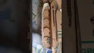 My detailed Cardboard 