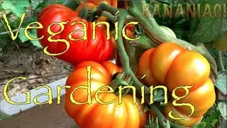 Veganic Gardening | John Kohler