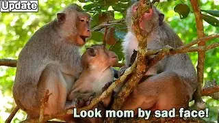 Mom why don't care me? Poor boy Jody look mom JANE by sad face/ Jody need JANE comfort him no Elsa