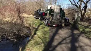 Stocking rainbow trout on the Vermillion River