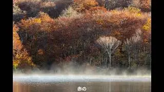 晩秋の野々見高原