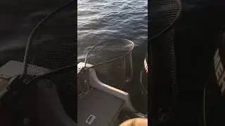 Northern Ontario Walleye Fishing #fishontario #walleyefishing