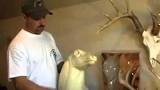 Shed Spreader Intro: About These Artificial Deer Skull Plates