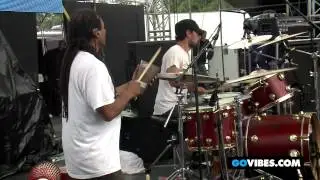 The Greyboy Allstars Perform 