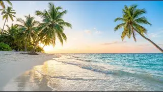 Tropical Reggae Mix - Sunny Island Life &bull; Relaxing Music to Unwind ☀️ - chillout, beach vibes
