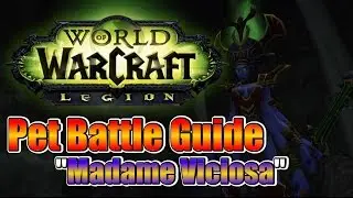 WoW Pet Battle Guide #03 - Madame Viciosa