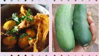 Frango com pequi ,colhendo os pepino 