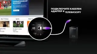 Универсальный Wi-Fi адаптер NETGEAR WNCE2001