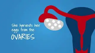 Fighting the Ticking Clock | A film by Indian Society of Assisted Reproduction (ICAR)