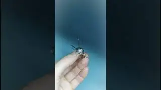 Designer Concept Silver Earrings Moon. Необычные авторские серьги луна 