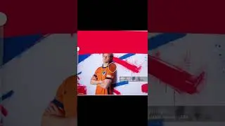 De Jong Netherlands Flag