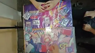 Tournament 11/05/2025 - Final: White-Forest vs Vanquish Soul - K9 Banlist OCG 4.2025 !
