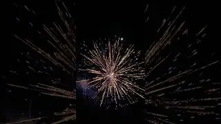 2 7&rdquo; THRILLER CANISTER SHELLS #firework