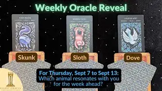 Weekly Oracle Reveal 🔮✨| Tarot Reading for Sep 7 to Sep 13 | Elliot Oracle 🦨 🦥 🕊️