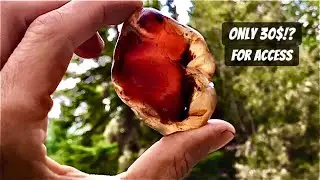 Canadas Best Public Agate Mine (Souris Manitoba)