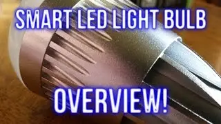 FLUX Smart LED Light Bulb Overview!│MUCH COLOR, SUCH LIGHT, WOW!