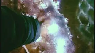 The magic of Christmas in Kumanovo!