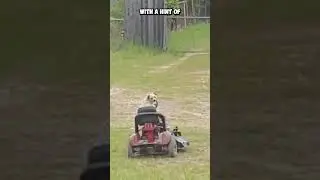 Cutty the Canine | The Hilarious Lawnmower Maestro!  🚜 🐶 #shorts