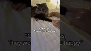 The CUTEST cat 🐈&zwj;⬛ #catvideos #shortsfeed #shorts