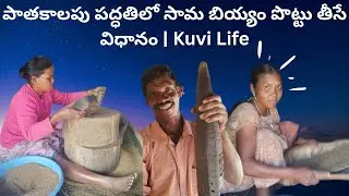  Organic Healthy Millet Process | Sama Biyyam Potutiyadam – Kuvi Life  /araku paderu culture 