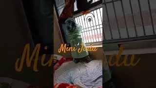 see what he doing rudra funny vlogs #music #nostalgia #flashback #international #rock