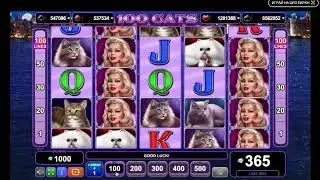 100 Cats Casino Game