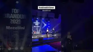 Mezellini - бренд года 2025 в Молдове! Огромное спасибо за доверие!