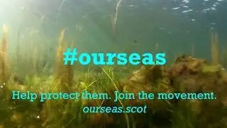 World Oceans Day 2020 - Why we appreciate #ourseas