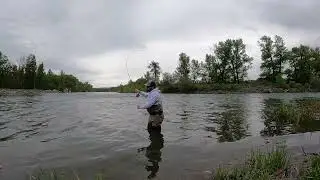 Dry vs Nymph Cast