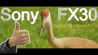 Filmmaking with the Sony FX30 | 4k 30fps DCI | Sigma 18-50mm F/2.8 |  AMAZING COMBO!