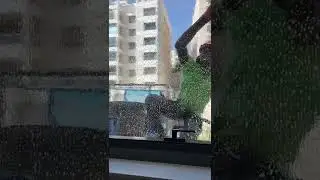 Cleaning of glass facades