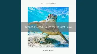 Try the Perfect Ocean and