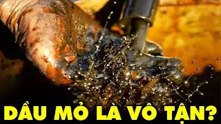ĐỪNG XEM Video Này Nếu Bạn Vẫn Tin Rằng Dầu Mỏ Sắp Cạn Kiệt! | Thế Giới Cổ Đại