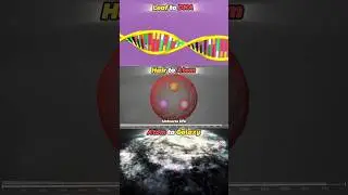 Leaf VS DNA VS Atom VS Galaxy Zoom In Comparison #space #atom #dna