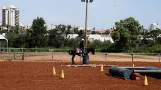 Stav Hertz with Phantom Chex Starlight (6034) NonPro , Club LD Training , IEXCA Virtual Show #1