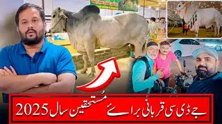 JDC Qurbani 2025 | Qurbani Baray-e-Mustehqeem | Qurbani 2025 | JDC Foundation 2025 #qurbani2025