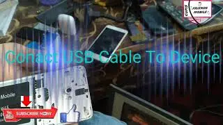 Qmobile W15 Dead After Flash recovery 100% work trip