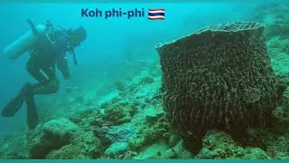 🇹🇭Diving…Koh phi-phi… Thaïlande🇹🇭2025