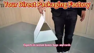 Dongdian Packaging: Factory-Direct, Fully Customized