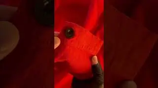 TOAST Arlo Herringbone Jacket Unboxing [#ASMR]