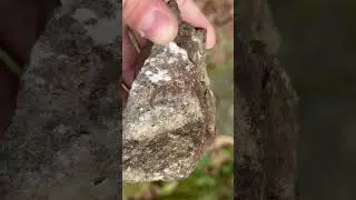 Rockhounding #rockhounding #rocks #seraphinite