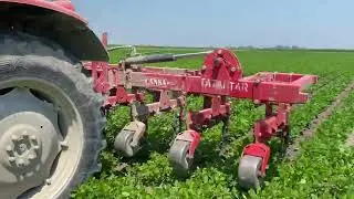 Cansa 7 Li Çapa ile Soyafasülyesi’ne Ara Çapa İşlemi Sveaverken CPS
