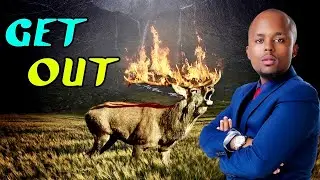 PROPHETIC WORD - GOD IS MOVING YOU OUT OF YOUR WILDERNESS