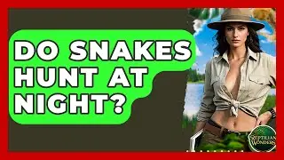Do Snakes Hunt At Night? - Reptilian Wonders